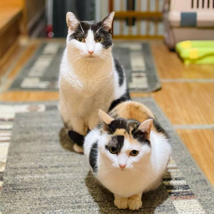 D16b0b7f fe21 4aeb 9140 fa8564872dc7 1643770507107