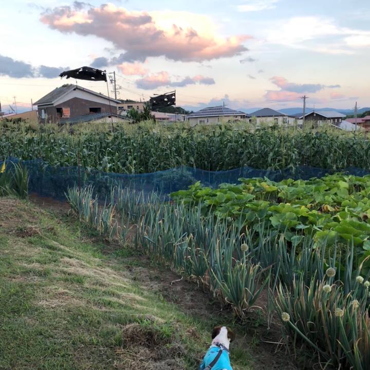 D16b3c62 b33b 4eef ada8 598ad4e113f8 1532860830610