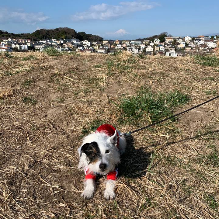 D16b567b c4a4 4727 ba83 a847196fd67d 1676854150633