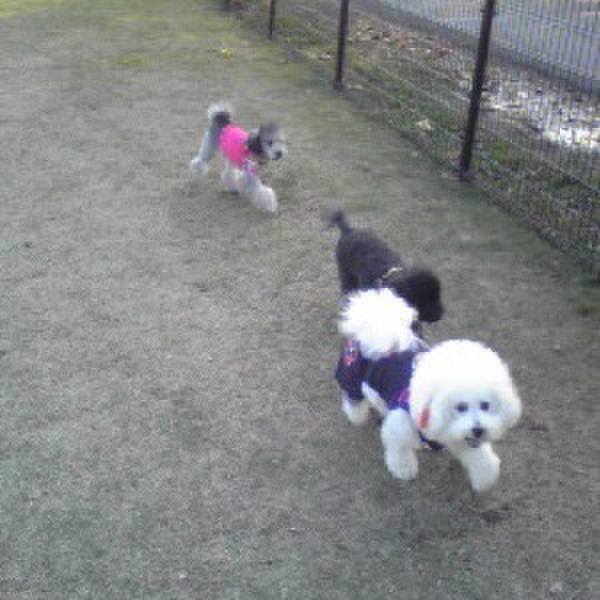 D16b85ea 6ccf 49e5 b3ee dd8f442c0791 1693959168326