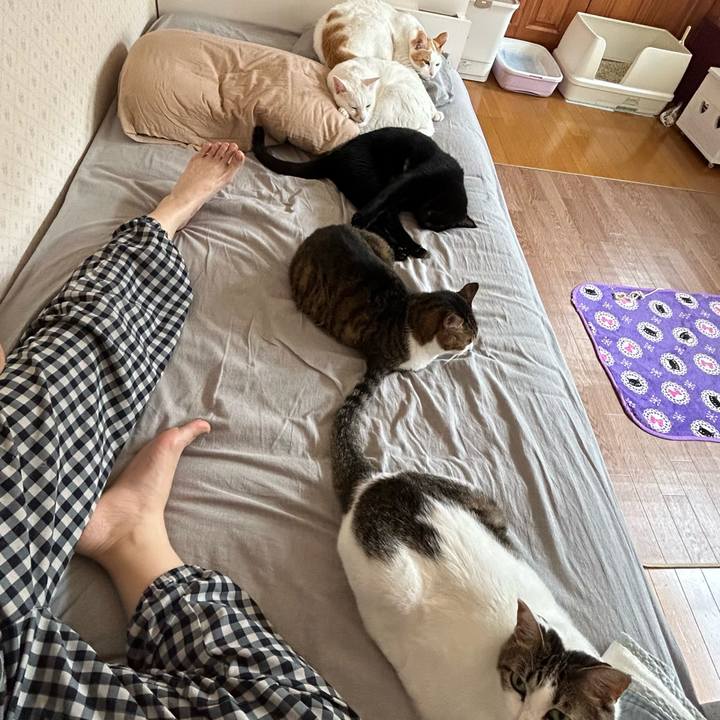 D16b86f6 aaea 4796 b69b d92915a30f2b 1688883362046