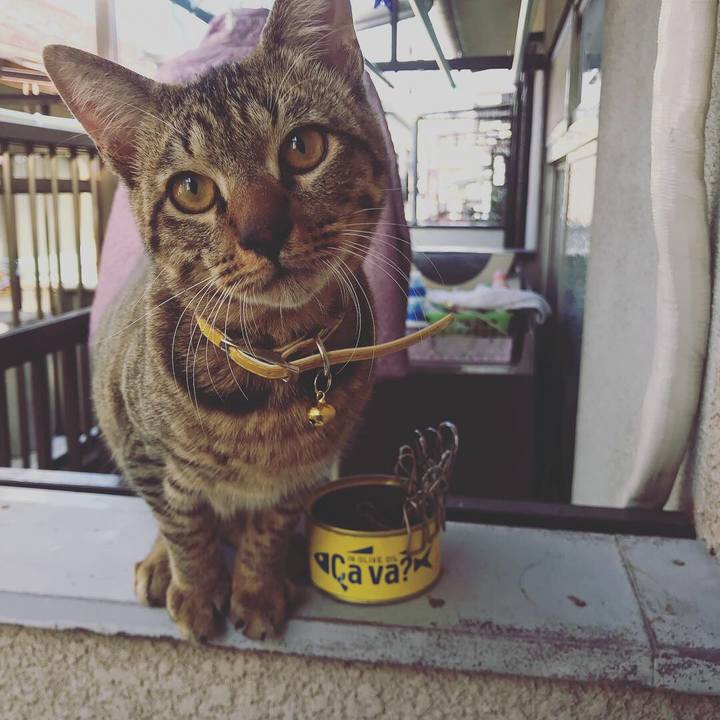 D16b9905 e1bb 45a5 9c1d 285fa6184746 1541780062018