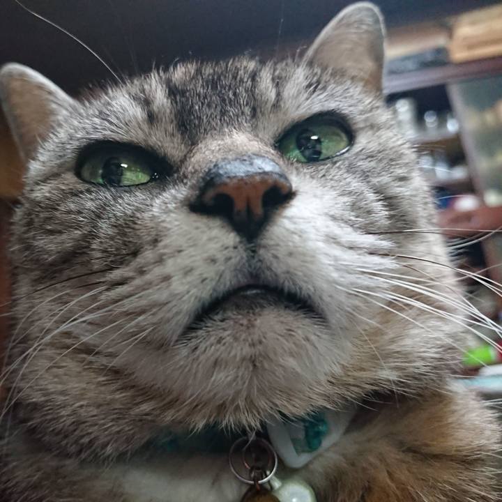 D16bc68d 0daa 45a5 9766 f52defa48d2e 1559302795630