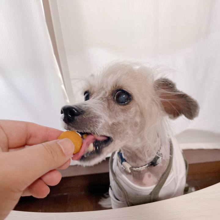 D16bf27f a507 43ff 8671 31b7ace56caf 1759739233966