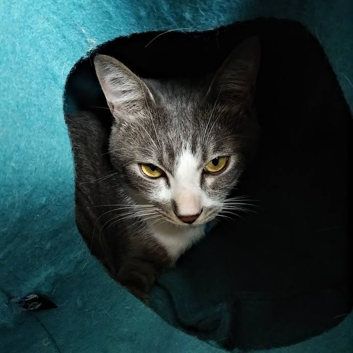 D16bfeb8 a7c7 4795 98b9 09625aba7504 1594356266034