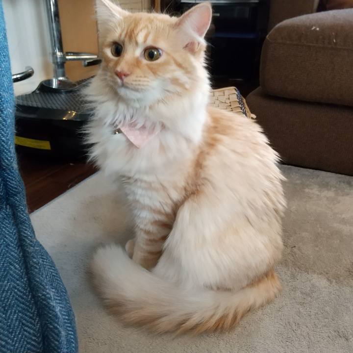 D16c14ab 177d 4f62 8665 fc0798a5a6b8 1626147467827