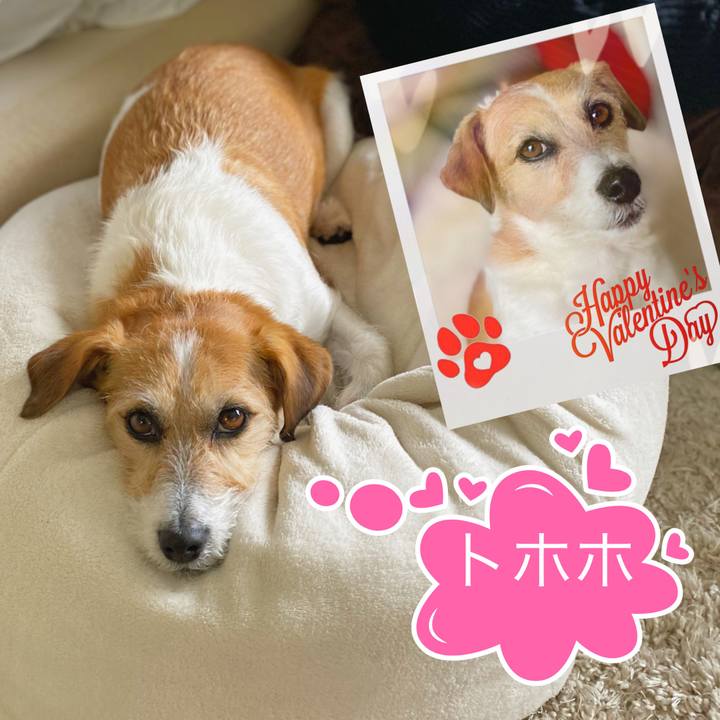 D16c14b6 6a62 4223 b213 26ee4e0c225c 1644842154415