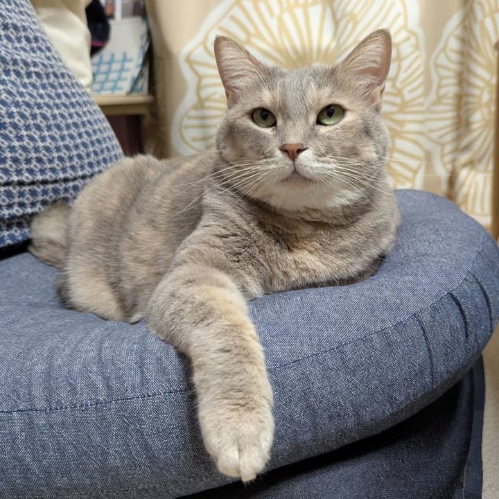 D16c1fad e2aa 4b88 bac6 fe7326162bf6 1758679646541