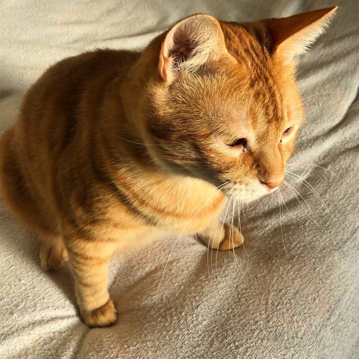 D16c73a1 c70d 4ed1 afea 0acaefbbb909 1567772671244