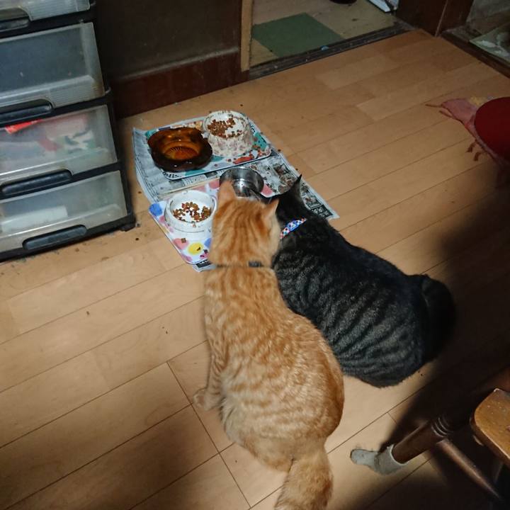 D16cbe43 20f0 45eb a561 978fab0deaa4 1658697626157