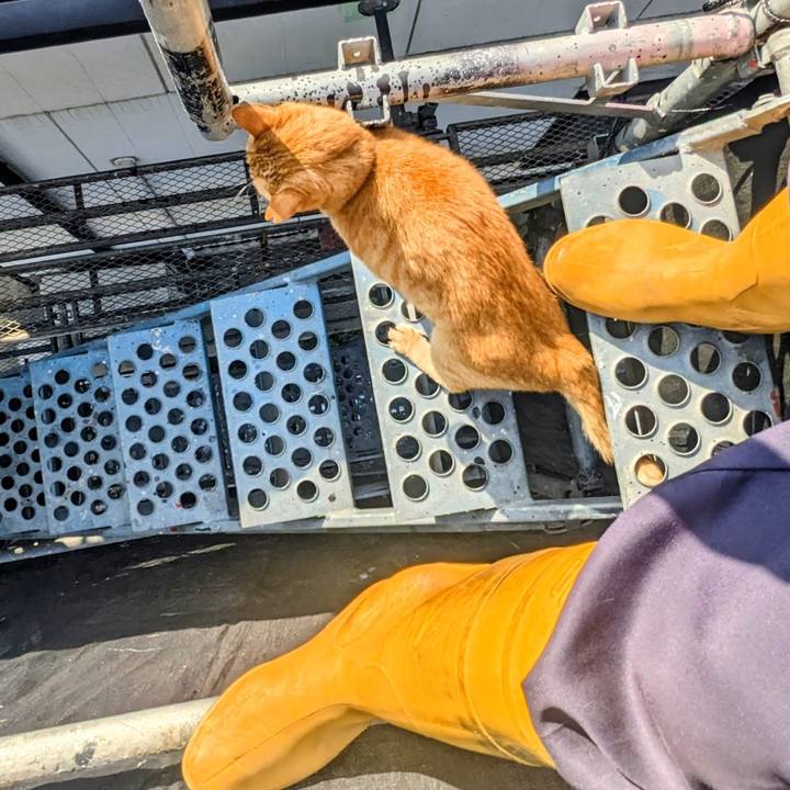 D16cbfa9 b88b 4177 b6cd 49b2d78df0ac 1773759949576