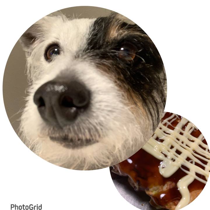 D16cc0a6 e618 4042 8239 24b8ea36f360 1681385987930