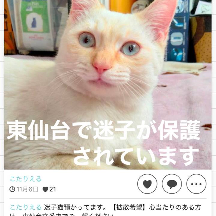 D16cca6f a88e 4a3c 9515 30ced5368aee 1636538867577