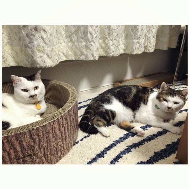 D16ccb9a 3878 478c 8f41 8fd4cff6e2f0 1569552366498