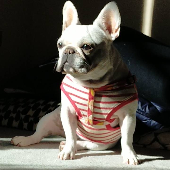 D16d3463 0a70 4904 9db9 387204341c02 1640138070780