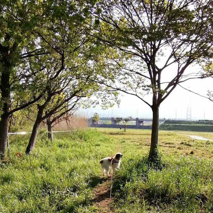 D16d76e3 dcdf 4d71 bc86 ac1e3373cecd 1618791084762