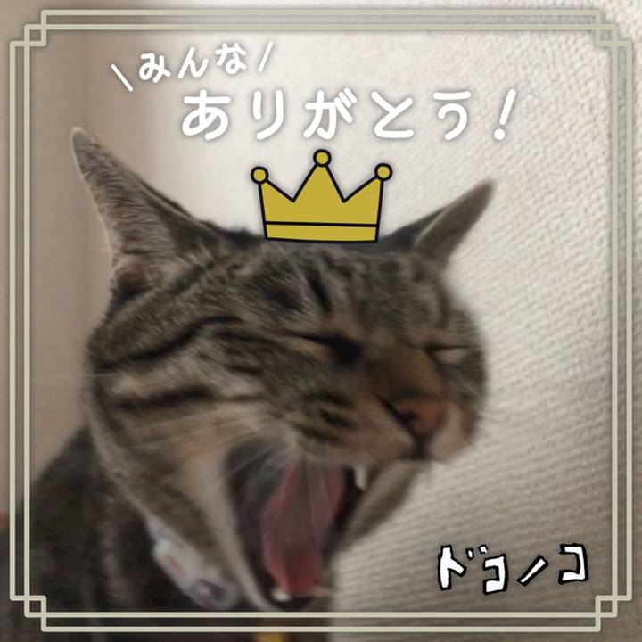 D16d8554 775e 427e 85e3 8d74f4bcb8d6 1622902018923