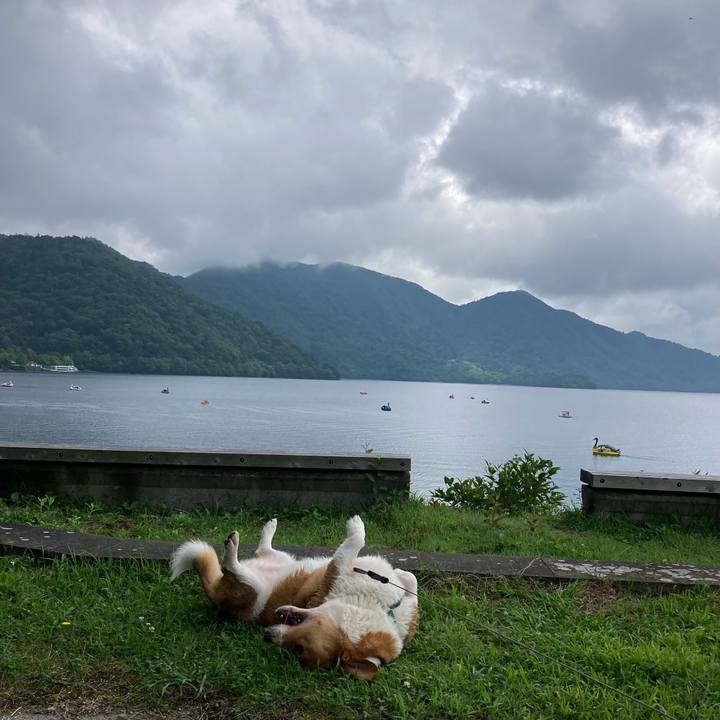 D16d96f6 c349 48f3 8dfc 9acca5b17102 1723812499423