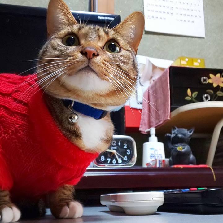 D16db68c 1a73 4c9e b599 c1c7045f30f7 1763209664786