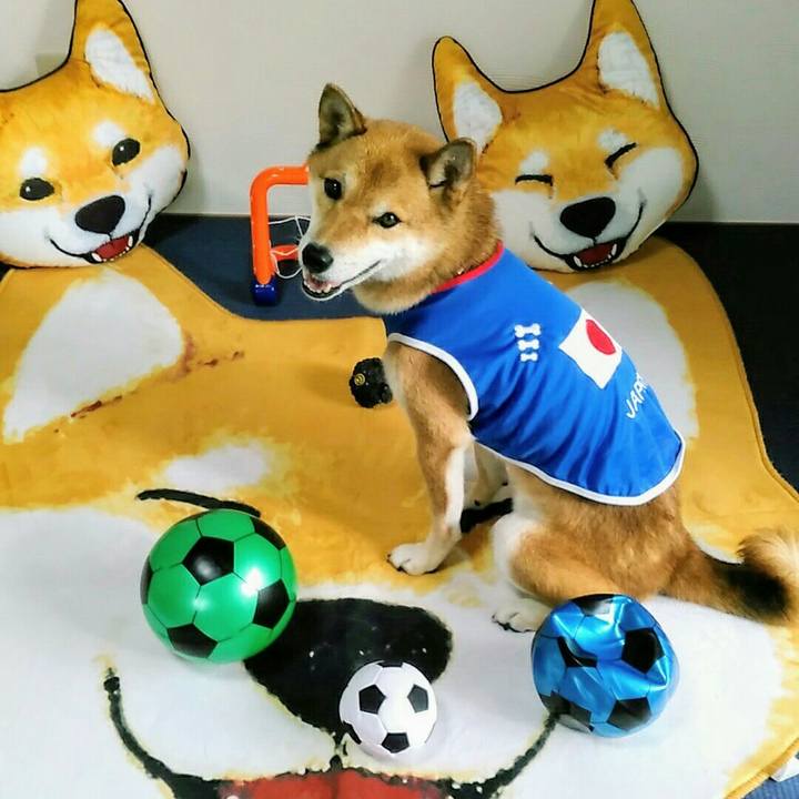 D16dd5ea cc10 4327 931d 5a2da201bb0b 1567655533075