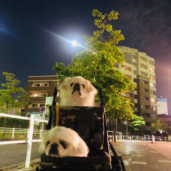 D16dd6fe 93a9 422c af13 c14b9a727506 1601642904137