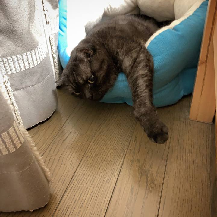 D16de711 a65e 47ff 9b46 6d7995196b92 1595384231745