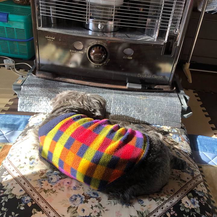 D16e0d15 6675 46ac 85e4 6512a3e84b87 1670684287998