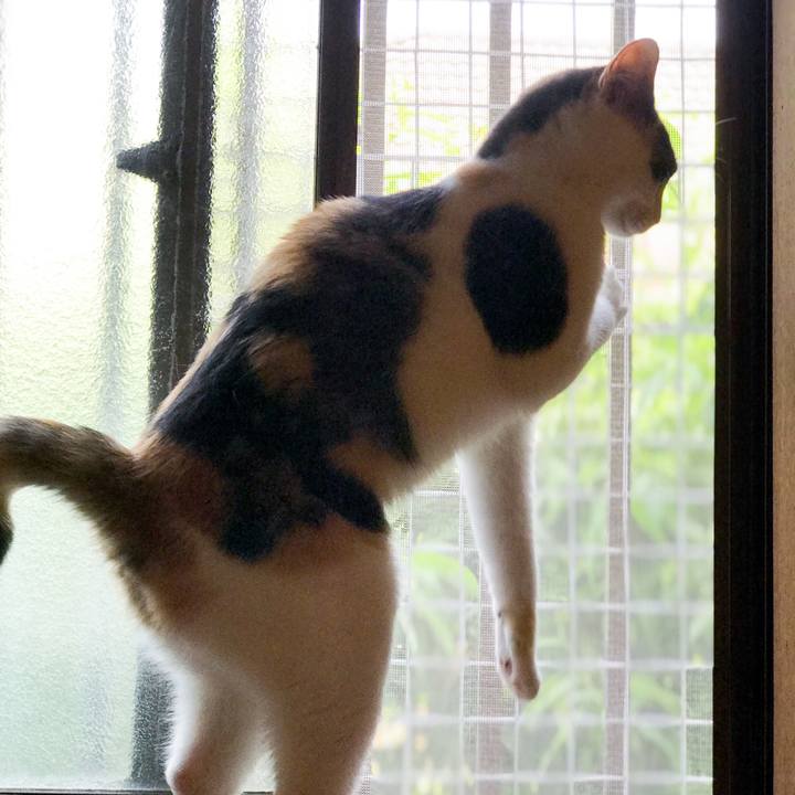 D16e2d01 e619 488a a935 8cc0a1733472 1532910896732