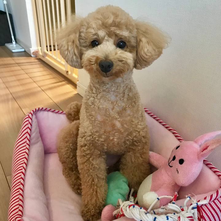 D16e85dc 68f0 4aaa a610 02ea5e68c88d 1525421794049