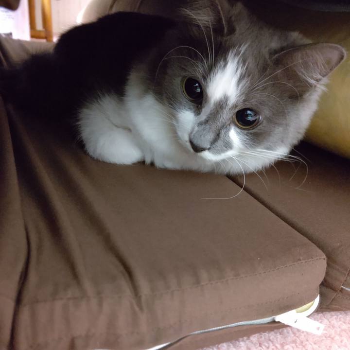 D16e8601 04aa 4635 b7d7 e0a0536c494e 1572563082454