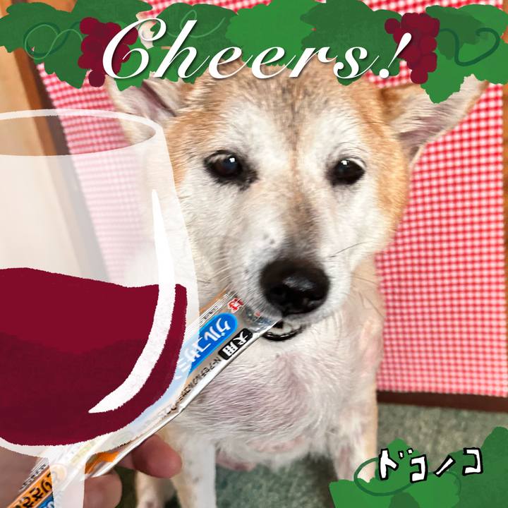 D16e908d 3e95 40e3 bc24 808fd9028087 1761968675571