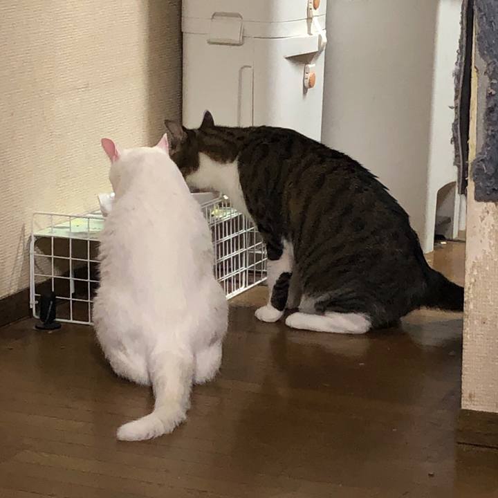 D16ea435 eab8 4d67 afb4 660bef8fd785 1664874949829