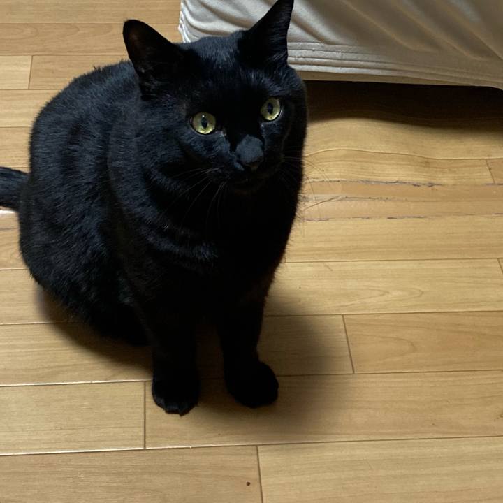 D16ec4c3 11e5 48d8 8c3f 7ff1766a025d 1634432829294