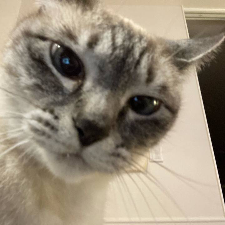 D16ec8dc 67c9 4a59 aa6d f4bc9ff22144 1652959399365