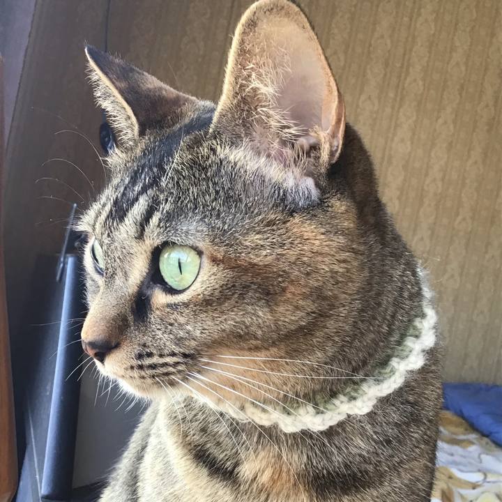 D16ee4ae 5644 4ff4 b0a6 5ddccc87c48d 1649495923084