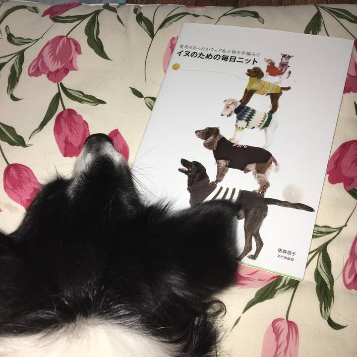 D16efe1f a589 491a 8397 ebaeab498542 1538281511107