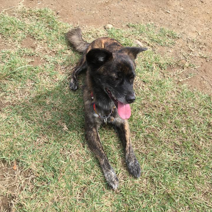 D16f2f92 a216 4f19 9653 a341a5c3befc 1508477512767