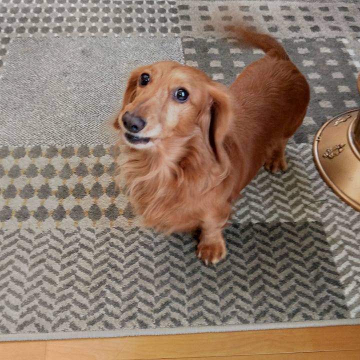 D16f419f 76c2 429f a843 21ee1e4b9f2a 1639822178258