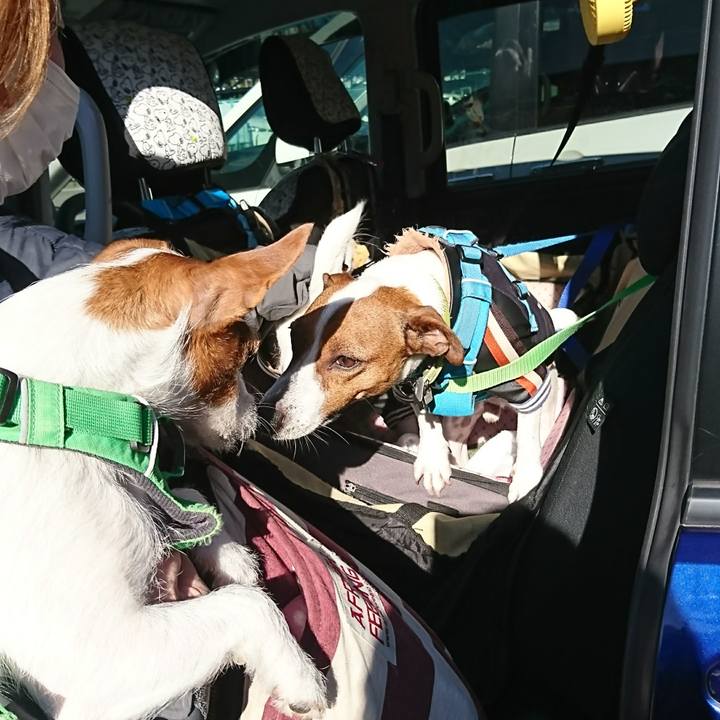 D16f582f 6e34 43b6 97cd 60cc0769c49c 1612497865061