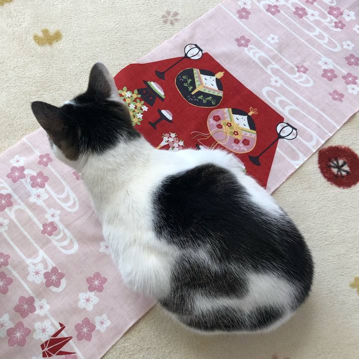 D16f5b72 8bdc 4426 9183 60b0af5803e6 1708931553168