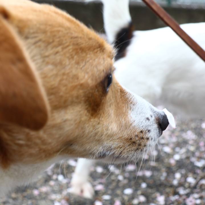 D16f7a39 0fdd 41a1 b6df 732ba03b7404 1554980312966