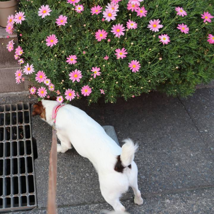 D16f9937 4aff 4c59 9516 19f723dcc6ab 1522229177596