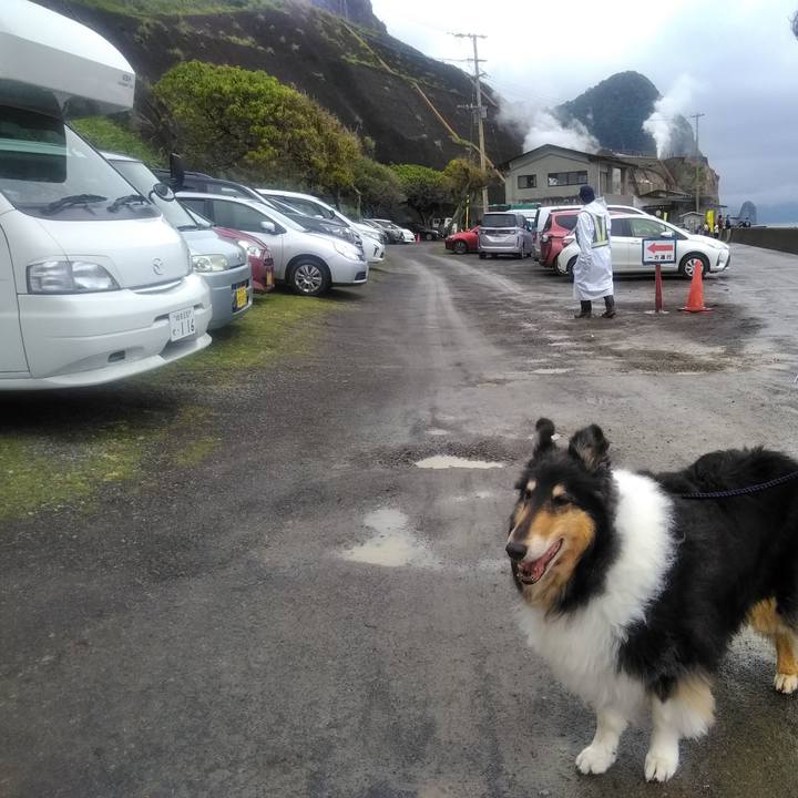 D16fa6a4 bb89 4e14 b266 9019f54d5b9f 1556812819191