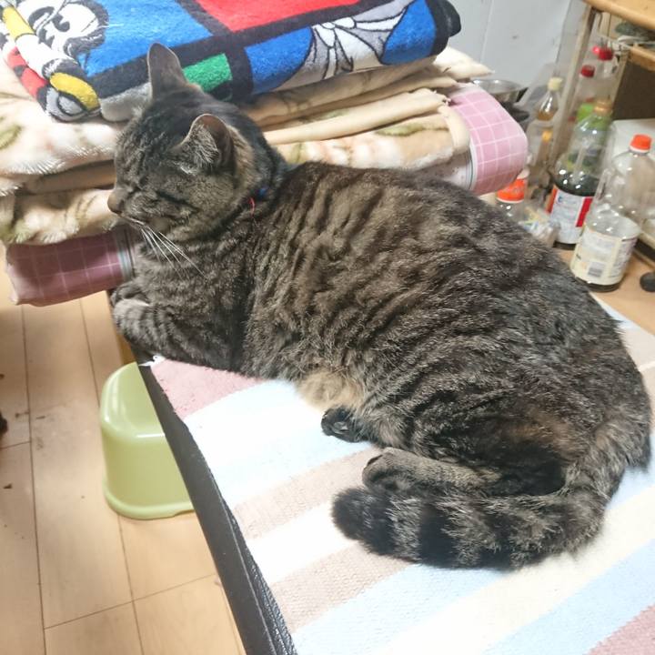 D16fdfa6 59c8 4bb5 83fb 2f7749789eef 1654645642218