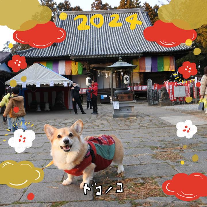 D16ff660 9354 4686 9d8f ab9f100db0d4 1704365519039