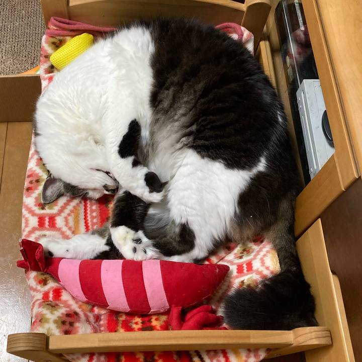 D1702bd0 f474 4b8f b734 f9627abdd5c8 1709690668998