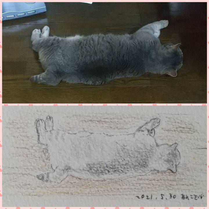 D17061d5 e476 4613 b5ae 7e2a1cb110af 1622358419693