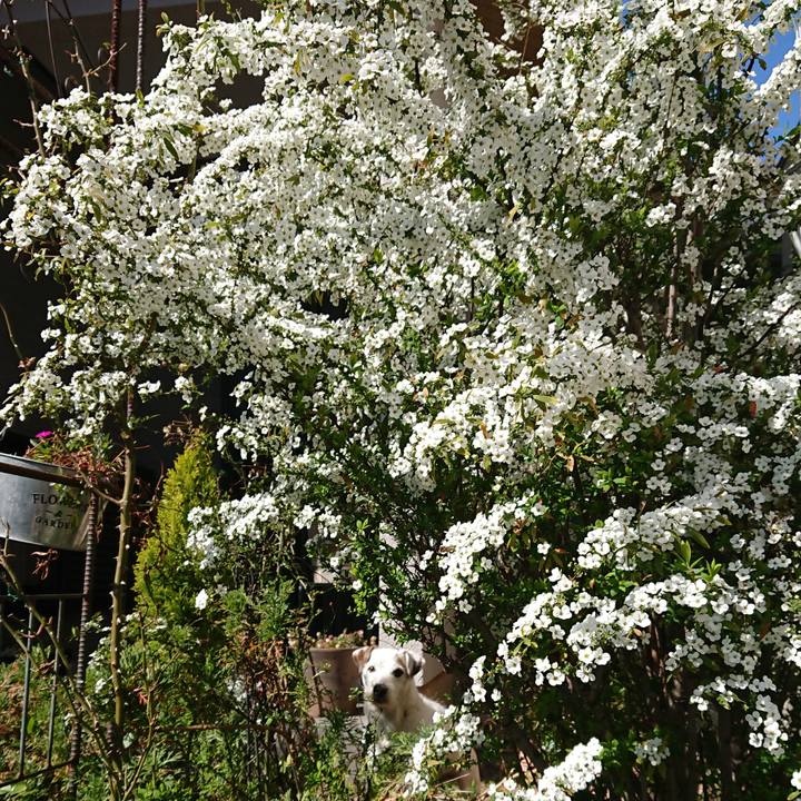 D1707510 bb36 4c65 b46f f6675e21f71e 1583711362722