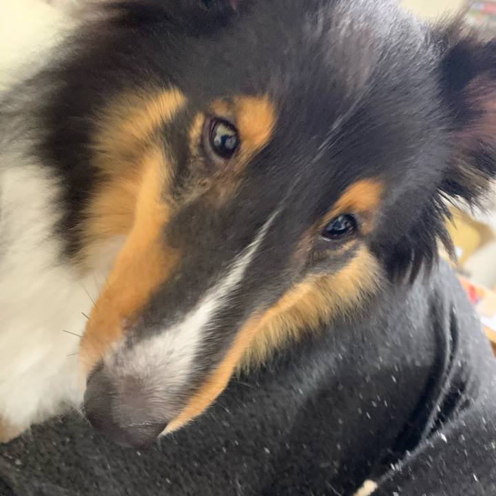 D170778e 0026 46c7 be7a b0c77a3468d7 1601501934588