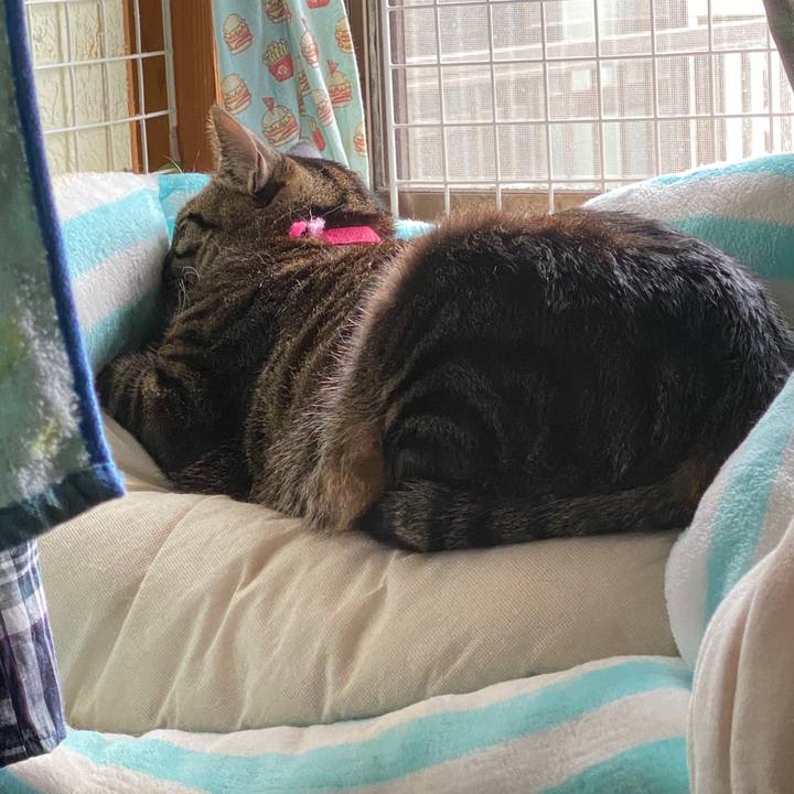 D170c6db c02e 439d 9693 d6ad97577b60 1616236554873